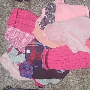 Girl puppy/small dog clothes